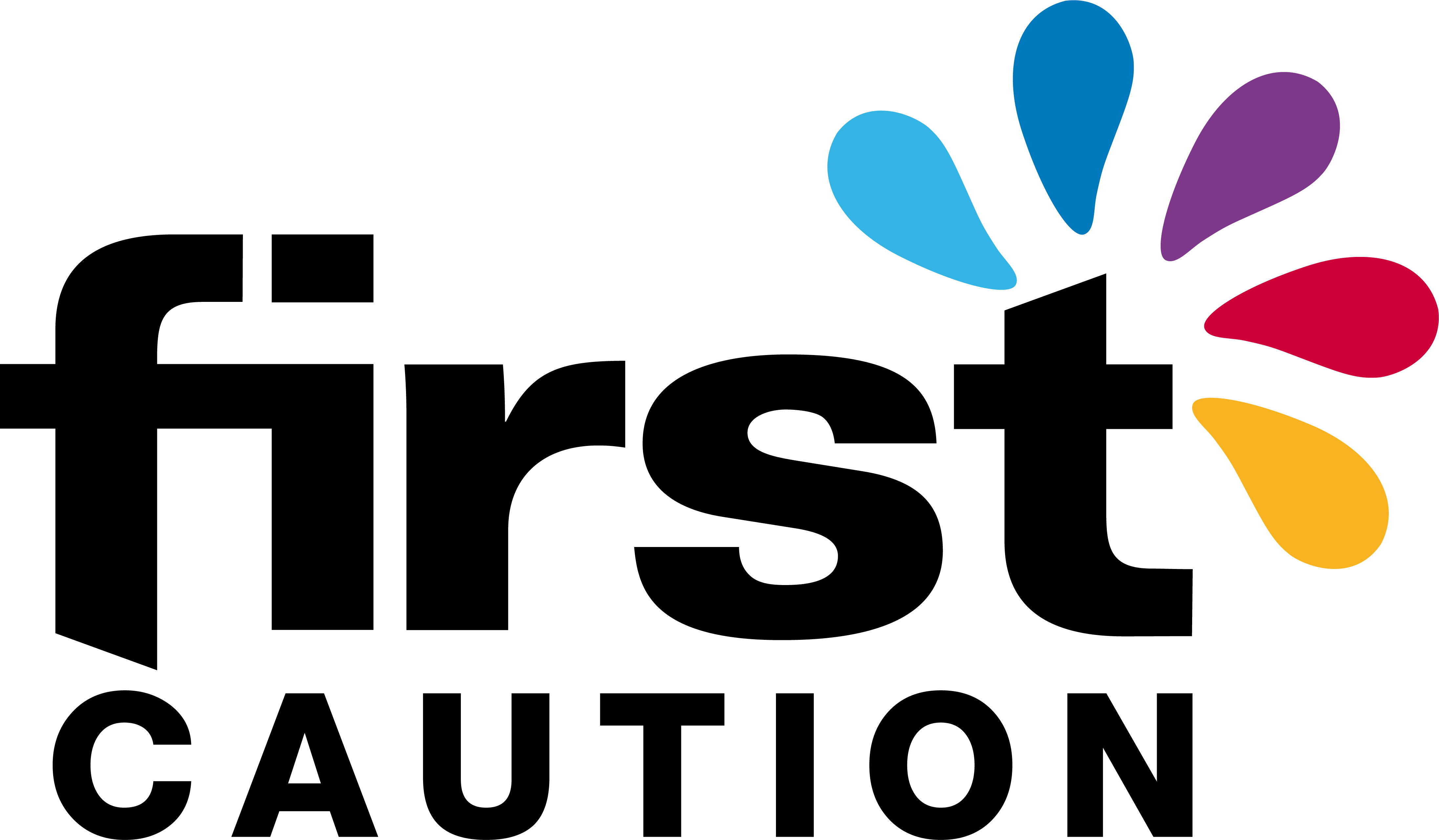 Logo First Caution